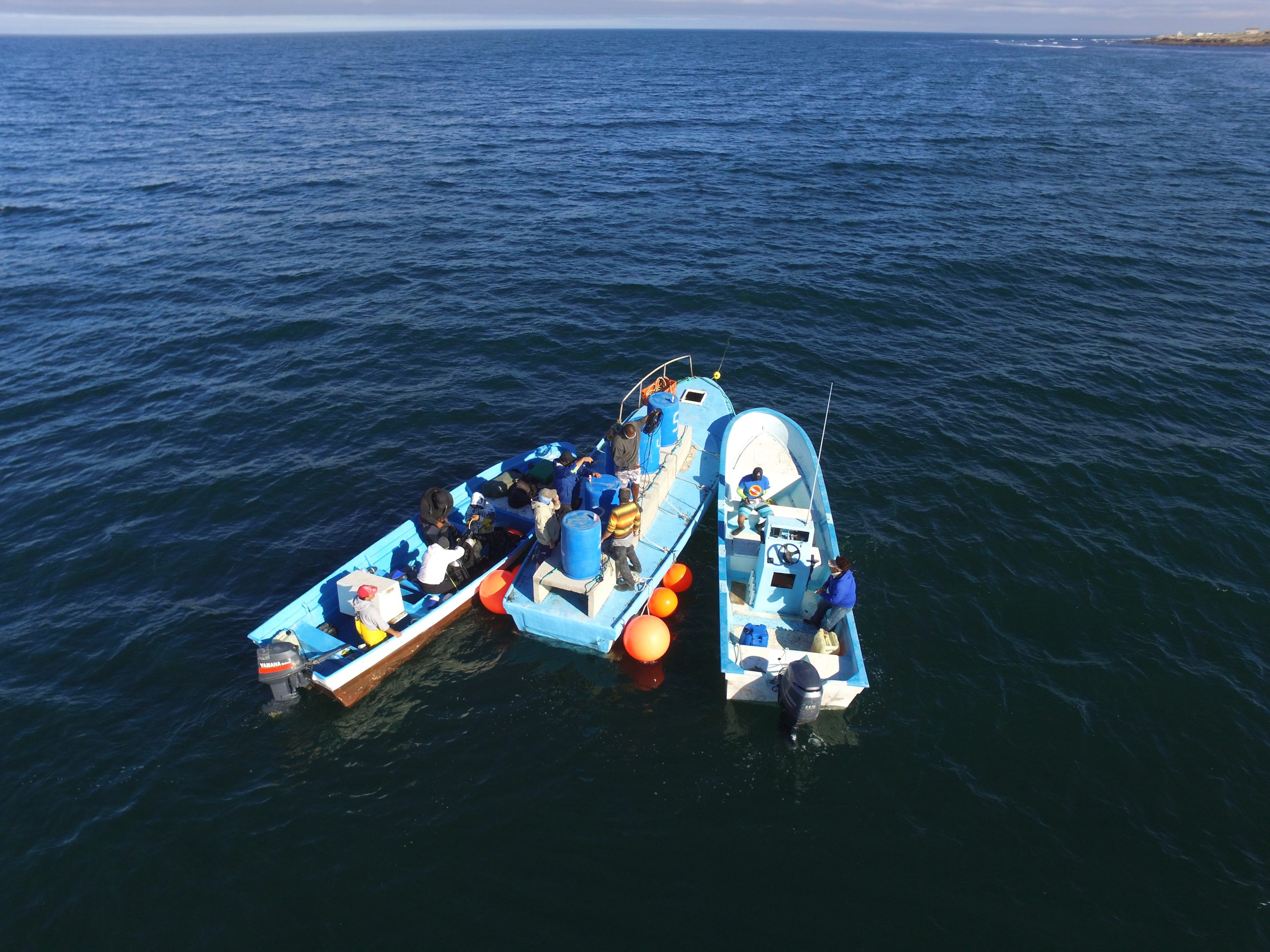 ¿Qué hace COBI?
&nbsp;
COBI participó desde la planeación hasta el monitoreo, impulsando el proyecto mediante:
1. Diseño y planeación técnica, conectando a la cooperativa con expertos en arrecifes artificiales.
2. Gestión ambiental, elaborando y financiando la Manifestación de Impacto Ambiental.
3. Apoyo en la construcción de 15 pirámides y 24 casitas cubanas junto a miembros de la comunidad.
4. Capacitación y certificación en buceo Open Water a ocho integrantes de la cooperativa para la instalación submarina.
5. Monitoreo y seguimiento para evaluar el éxito de la repoblación y la salud del ecosistema.
&nbsp;