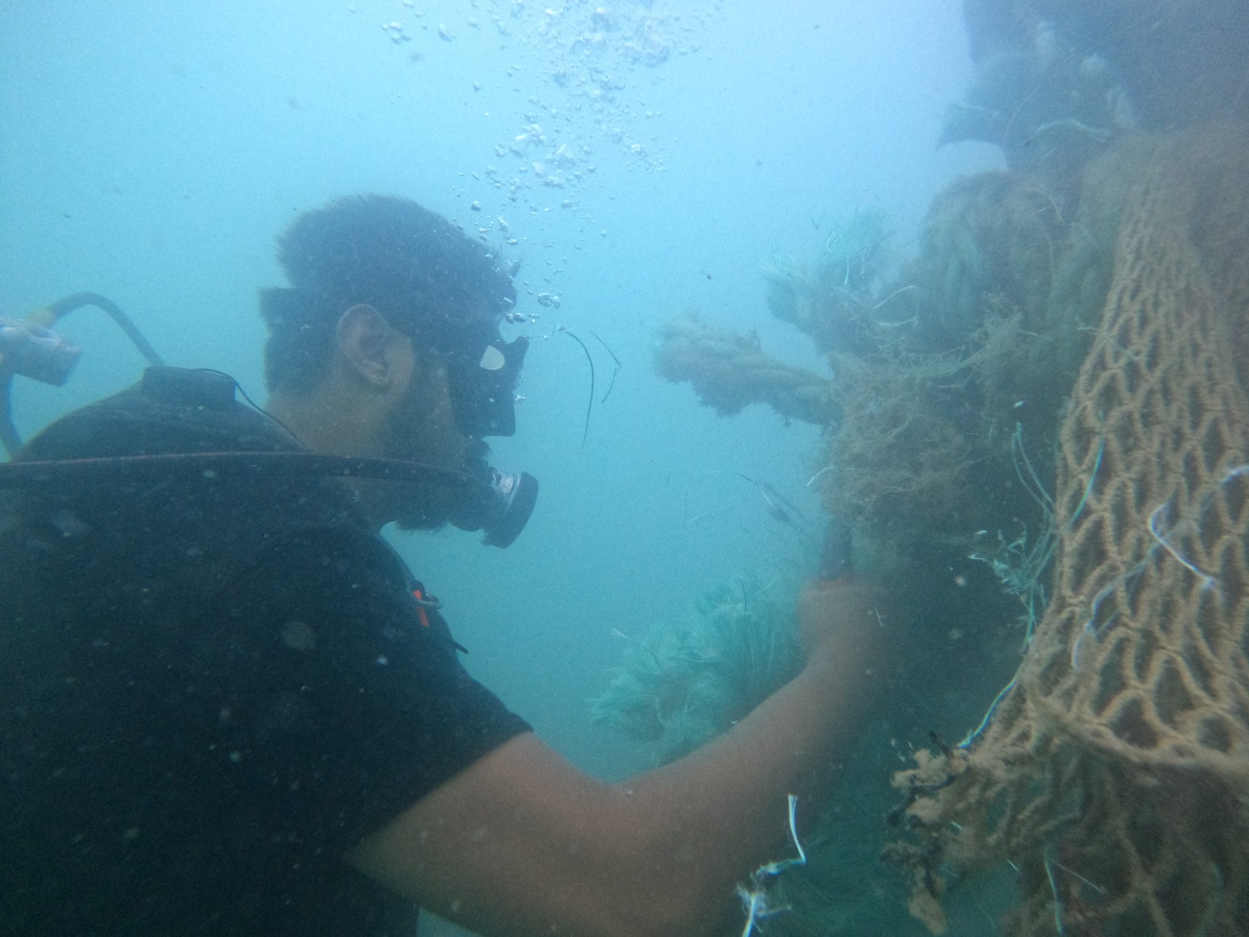 ¿Quiénes participan?
&nbsp;
Este esfuerzo es posible gracias a la colaboración de:
1. Comunidades pesqueras como Sirenas de Natividad, Grupo comunitario Bahía de los Ángeles, Héroes del Mar, Grupo de monitoreo submarino de la costa del oriente de Yucatán, buzos comunitarios de Cabo Pulmo, y Buzo Monitoreo y Conservación Bahía de Kino.
2. Sociedades cooperativas como SCPP Buzos y Pescadores de Baja California, SCPP Emancipación y SCPP Punta Abreojos.
3. Organizaciones como WWF, GGGI, Conservación Internacional México y Aqua Ghost Busters.
4. Autoridades gubernamentales y la CONANP.
5. Mujeres, juventudes y autoridades locales comprometidas con la protección marina.